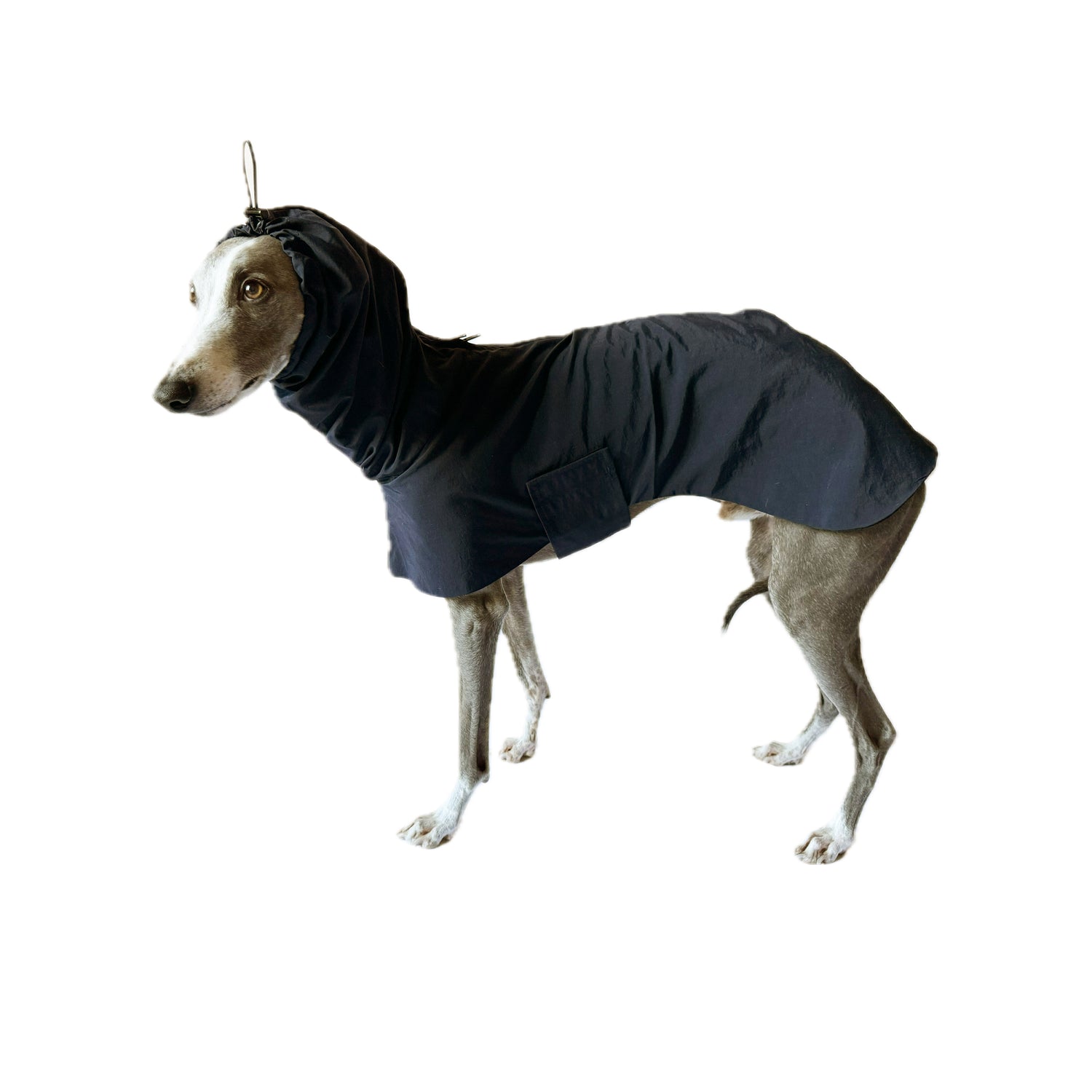 Rainjacket