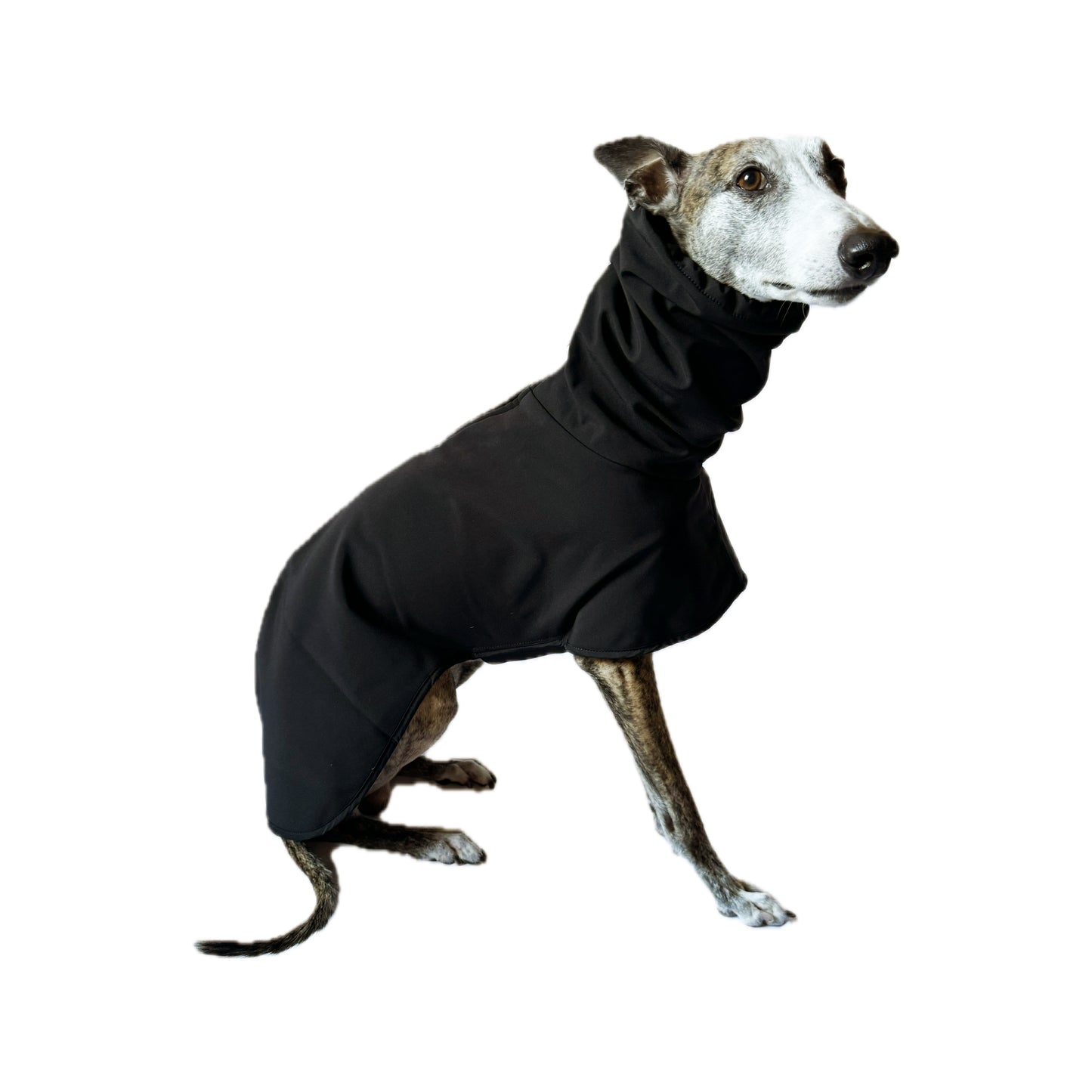 GENEVA (Black)