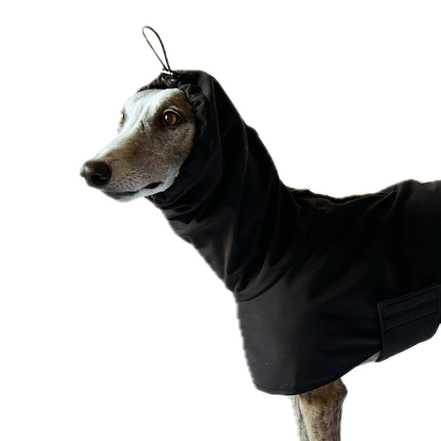 GENEVA (Black)