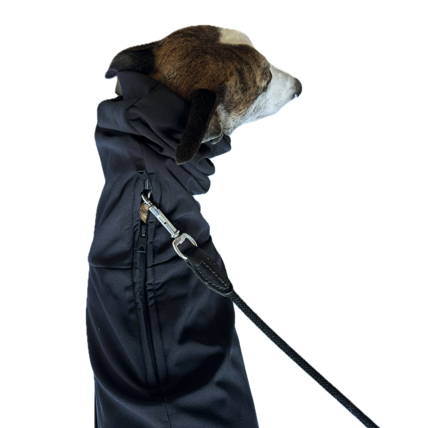 GENEVA (Black)