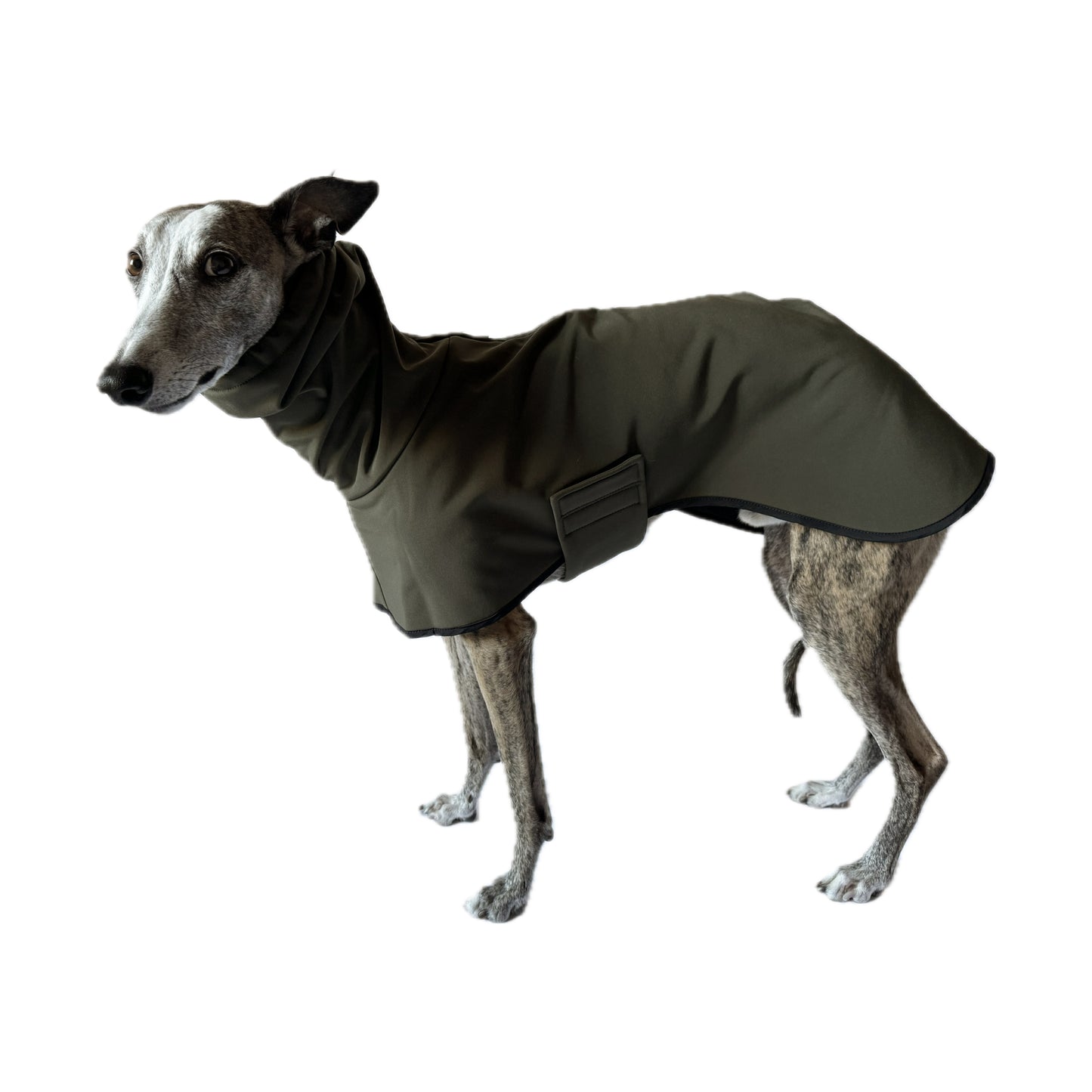GENEVA (Olive)