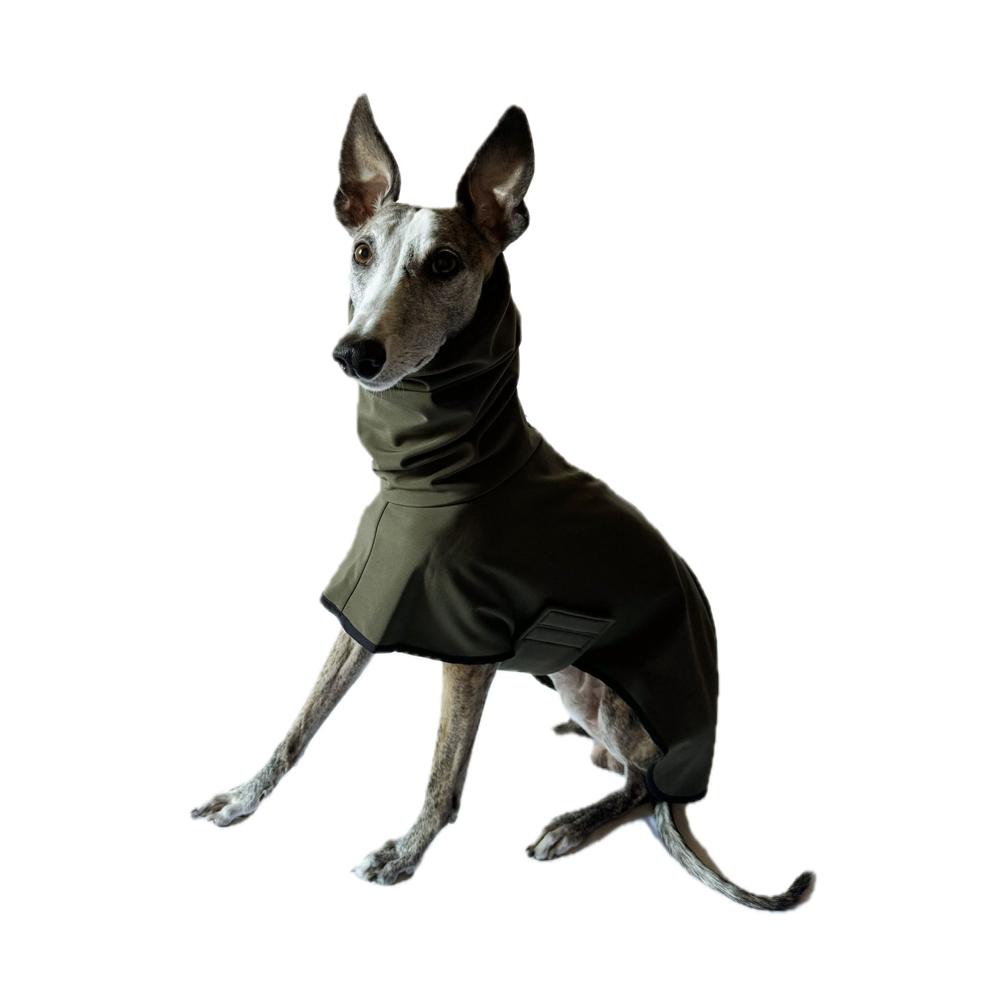 GENEVA (Olive)