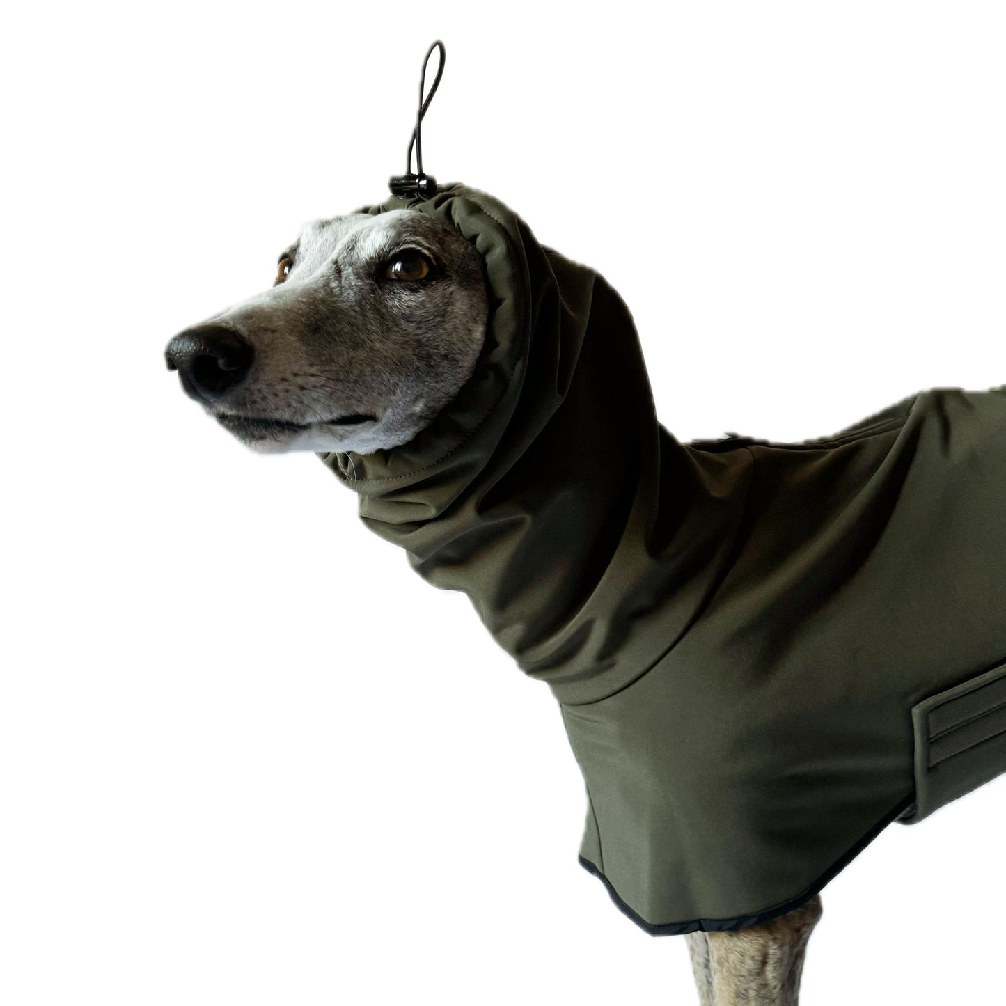 GENEVA (Olive)