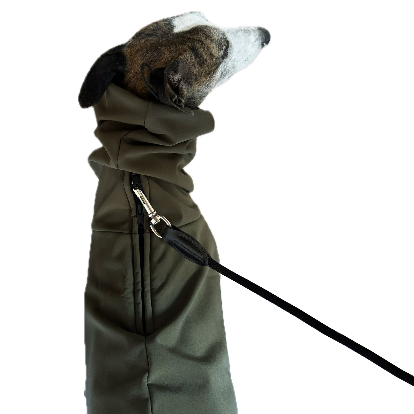 GENEVA (Olive)