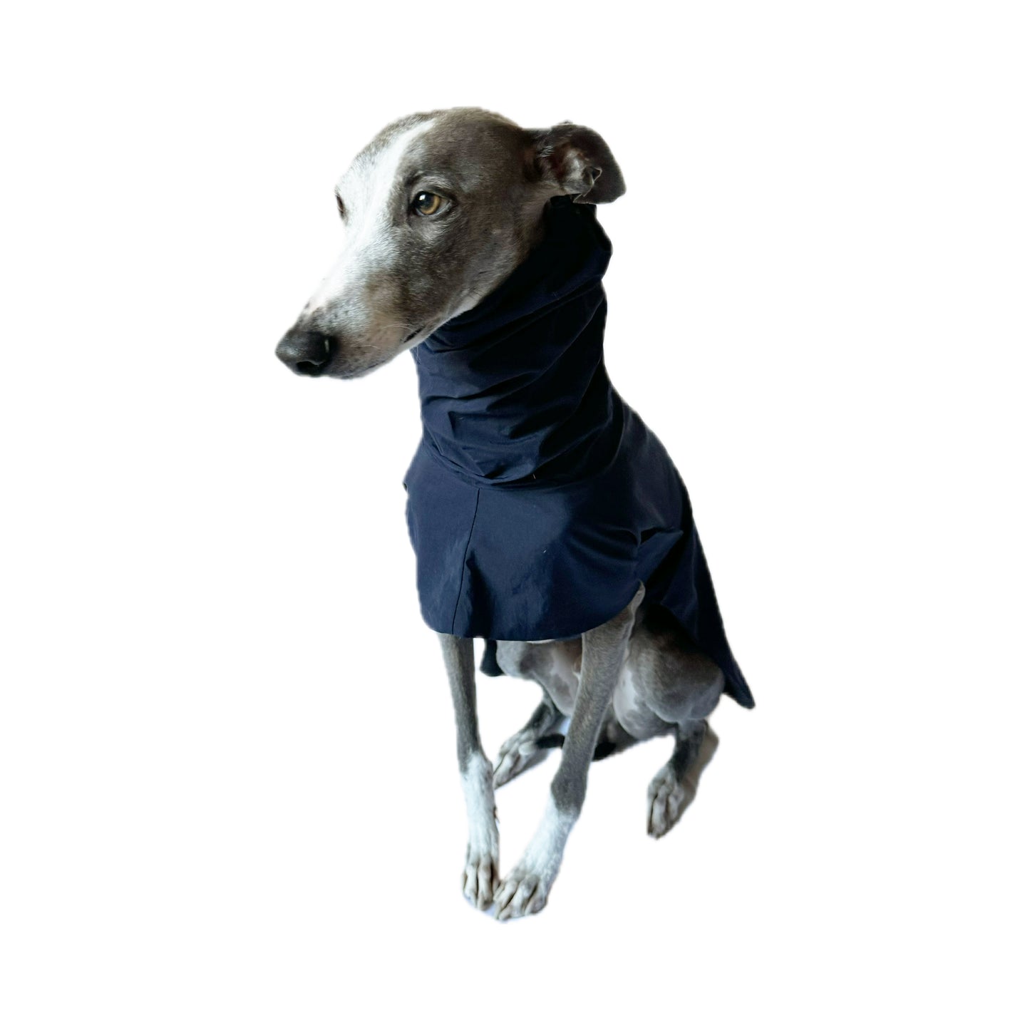 LONDON (Navy)