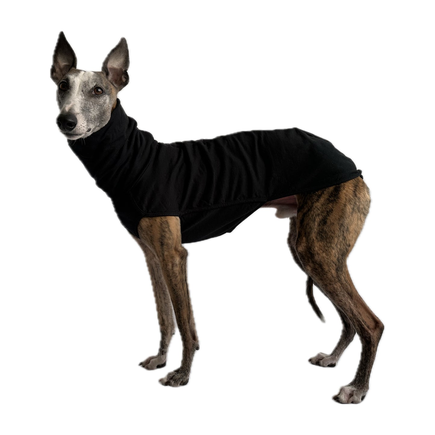 ROME (Black)