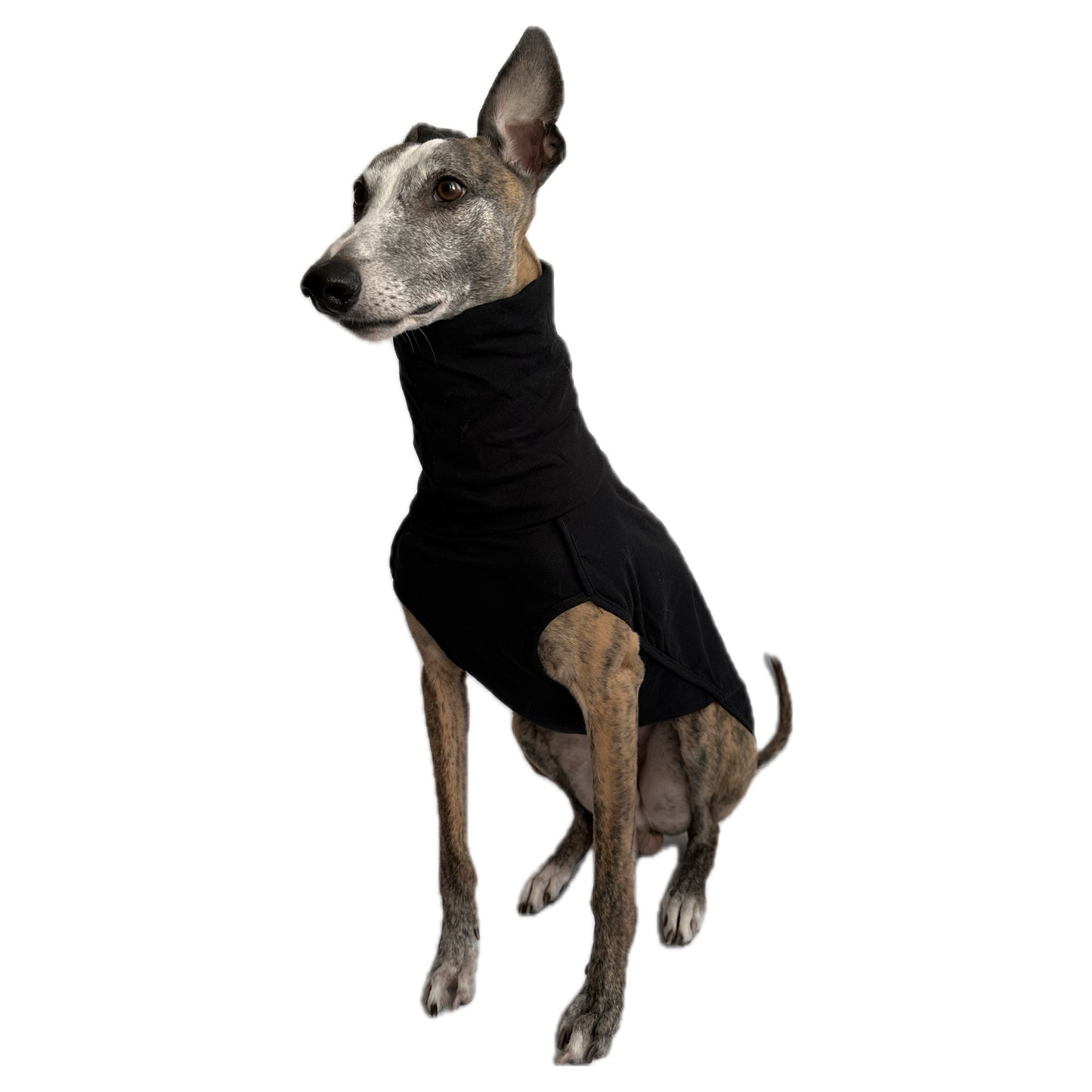 ROME (Black)