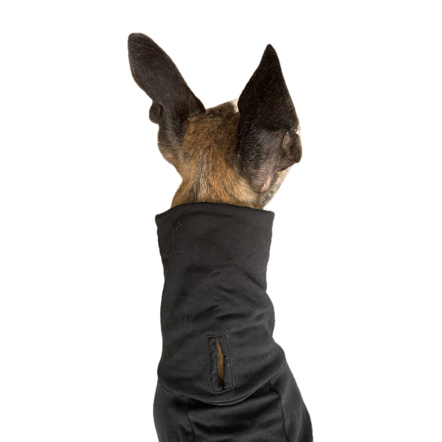 ROME (Black)