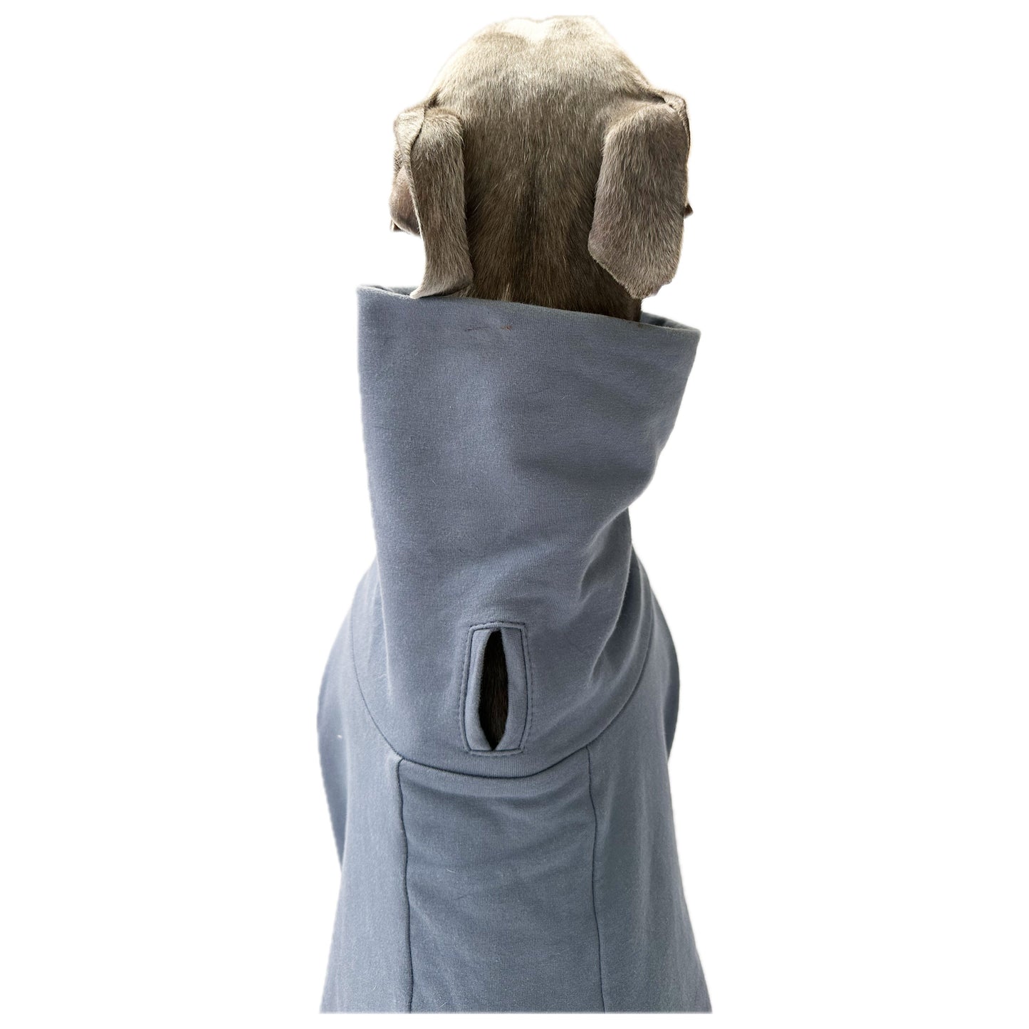ROME (Blue)