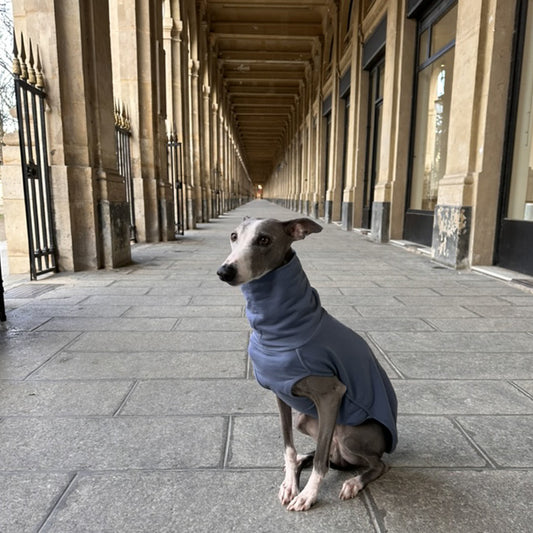 ROME (Blue)