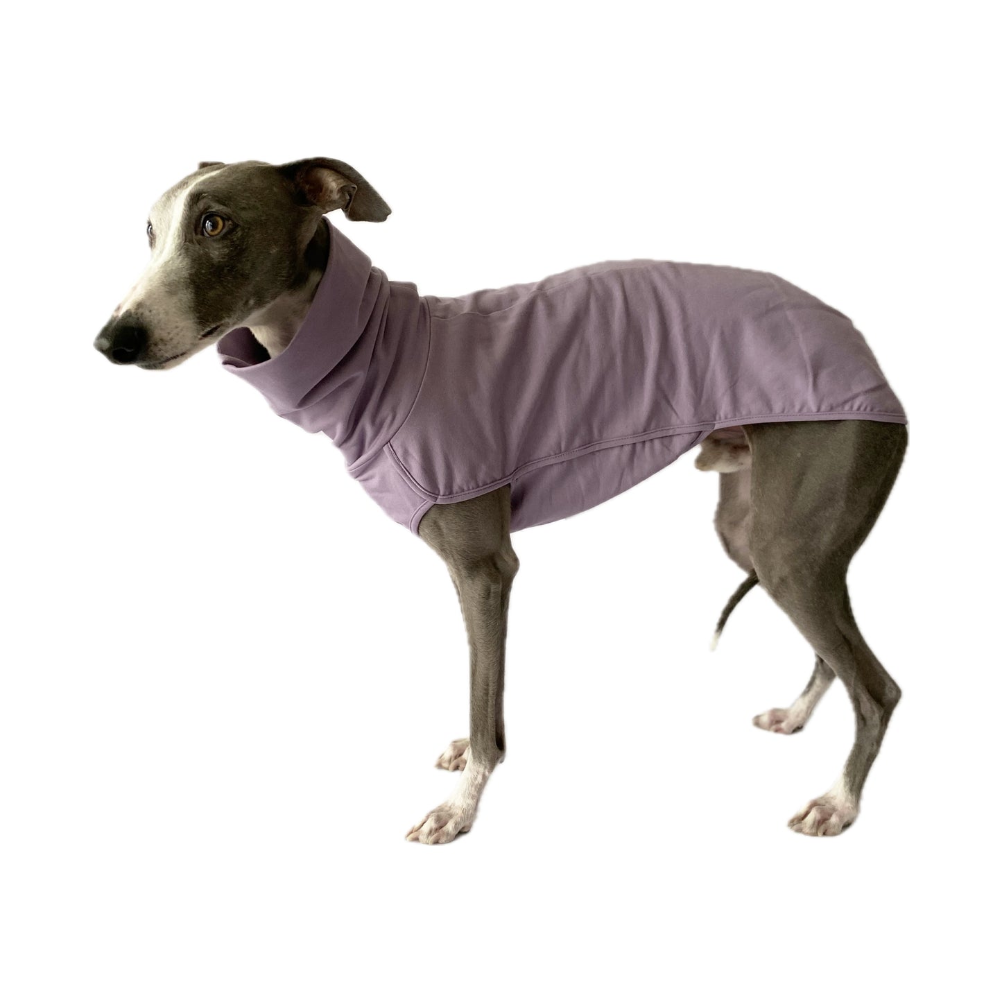 ROME (Lilac)