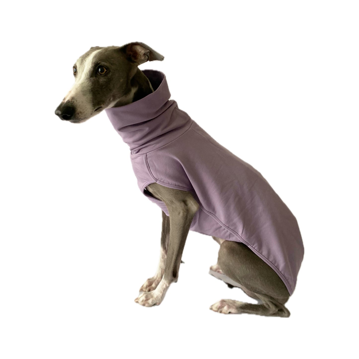 ROME (Lilac)