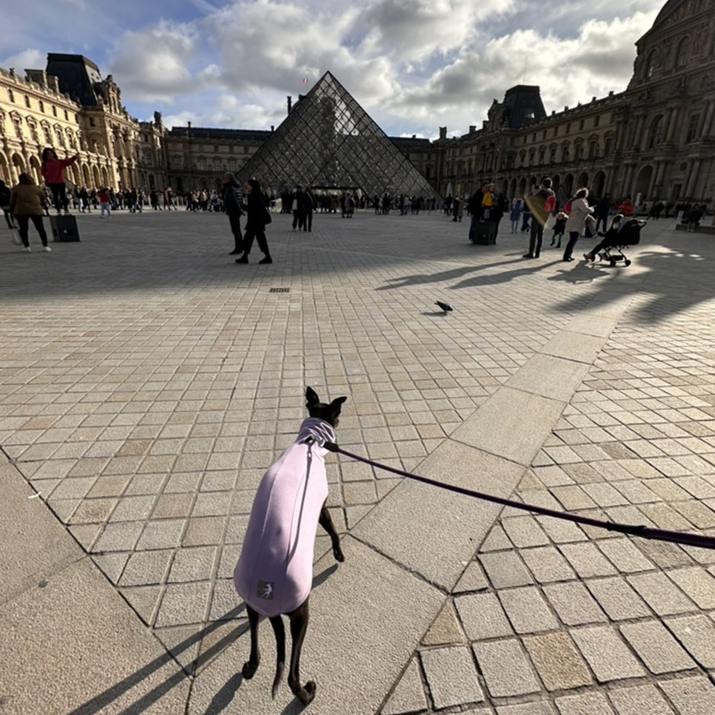 ROME (Lilac)