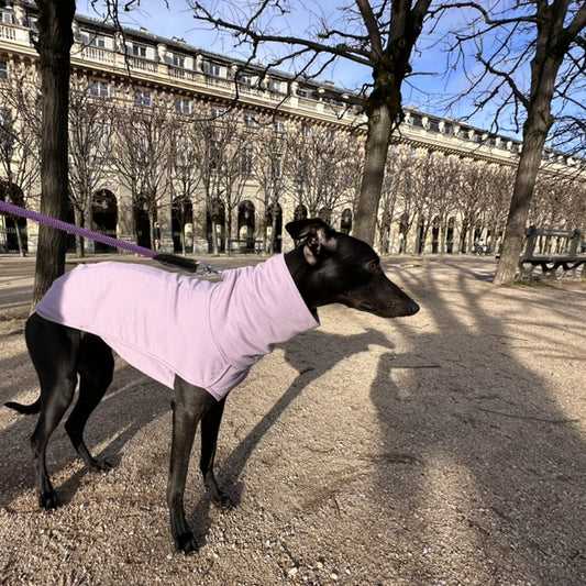 ROME (Lilac)