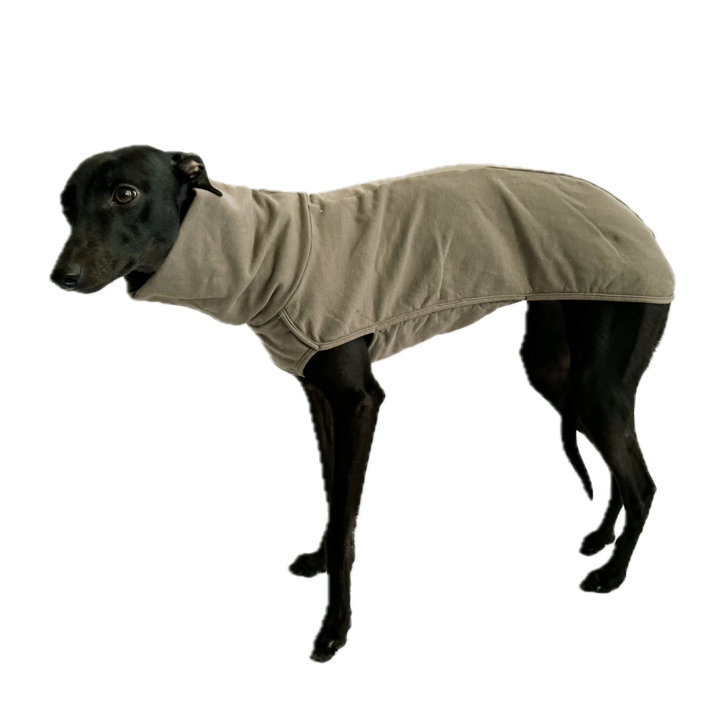 ROME (Taupe)